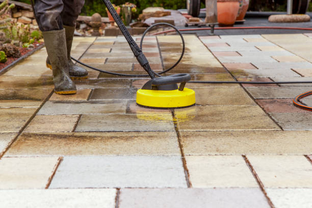 Best Animal Enclosure Cleaning  in Tucumcari, NM